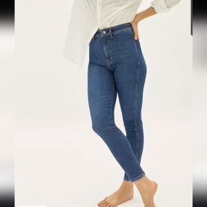 Everlane The Way High Skinny Jean - 26